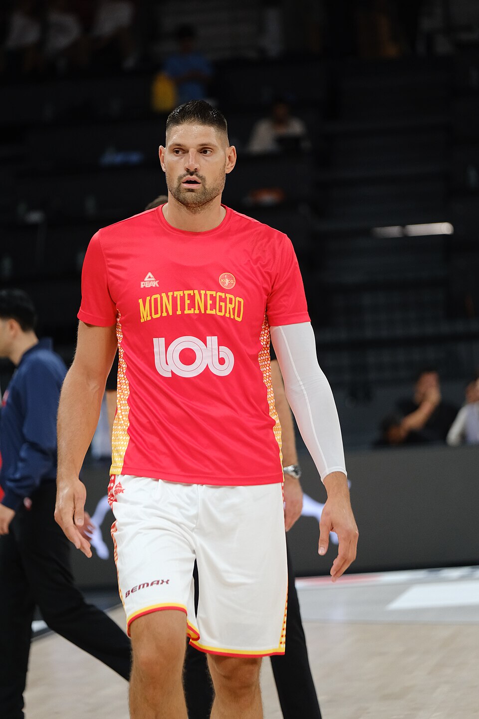 Nikola Vučević